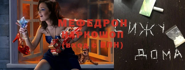 индика Саяногорск
